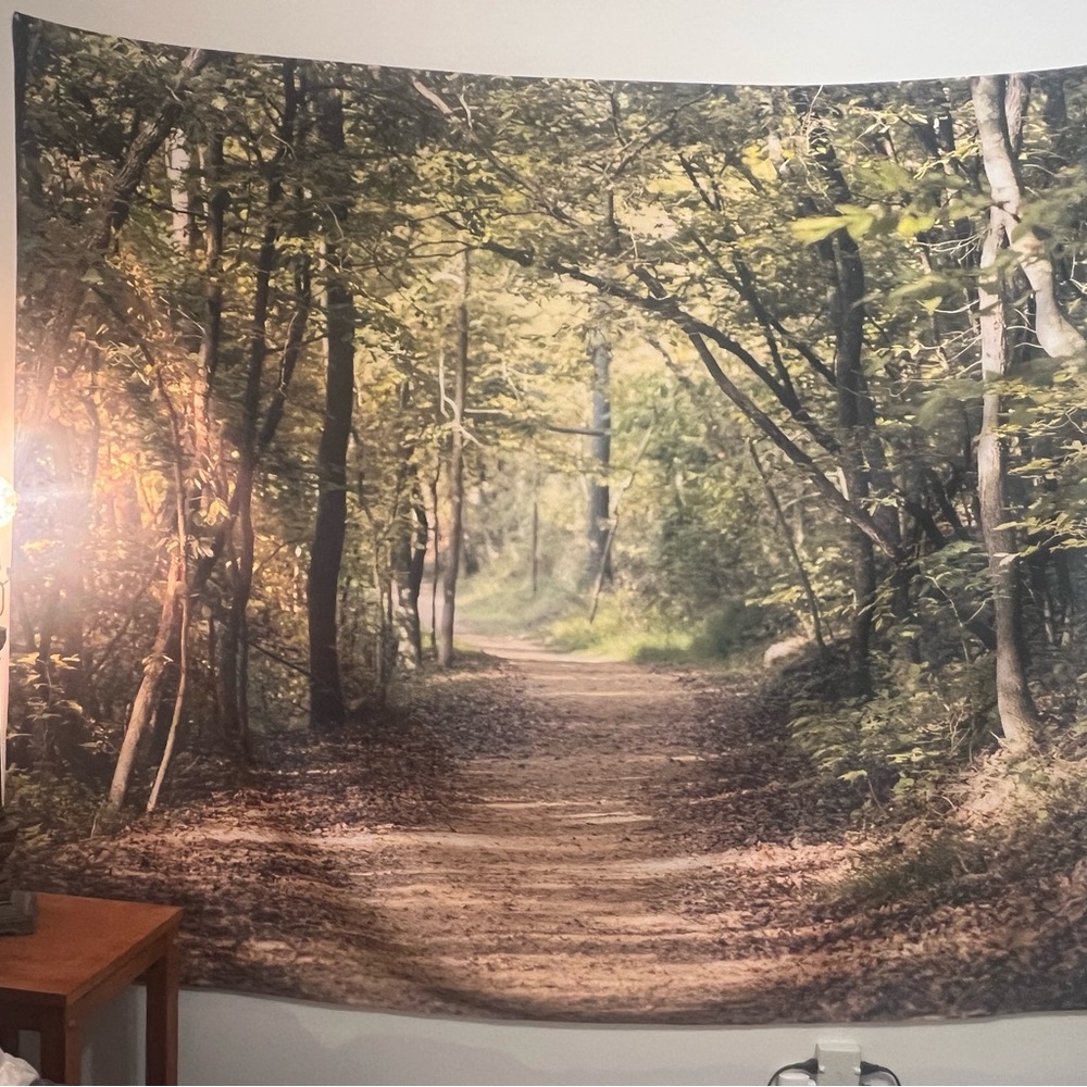 Forest Light by Ann Barnes Wall Tapestry
By East Urban Home. Size : 68"H x 80" W